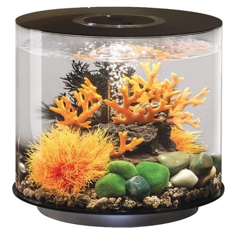 аквариум на 35 литров